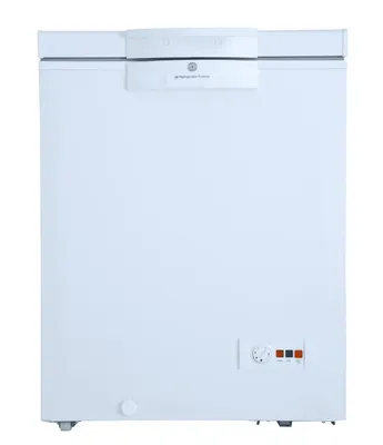 300 W Inverter Freezer