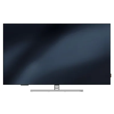 ECHO 65" - OLED
